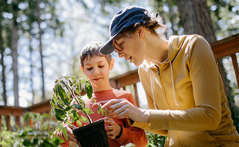 an adult explaining a plant to a child